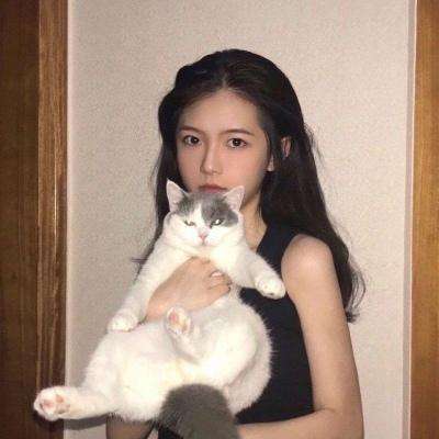 梦幻q传手游下载